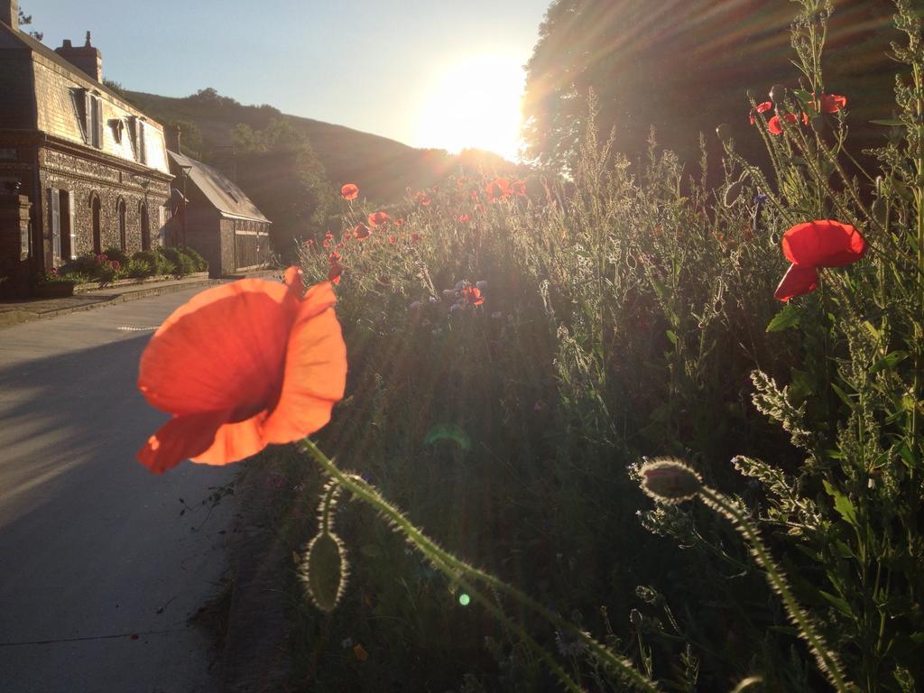La Flore De Lys, Cottage Ideal Pour 2 Adultes Et 2 Enfants Saint-Jouin-Bruneval Zimmer foto