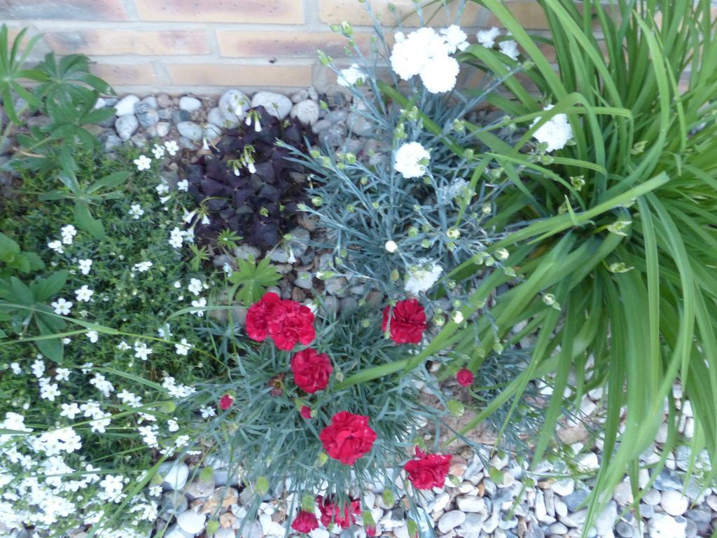 La Flore De Lys, Cottage Ideal Pour 2 Adultes Et 2 Enfants Saint-Jouin-Bruneval Zimmer foto